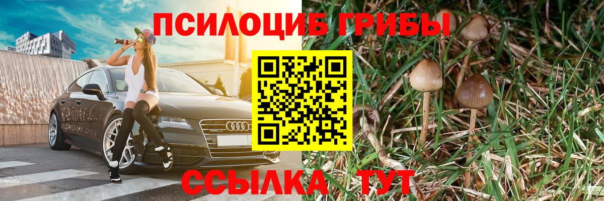 Галлюциногенные грибы прущие грибы Мирный